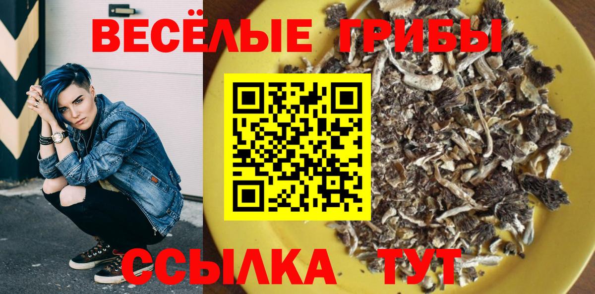 Канабис  Шахты  Cocaine  Меф МЯУ МЯУ   Вход с VPN  A PVP СК  