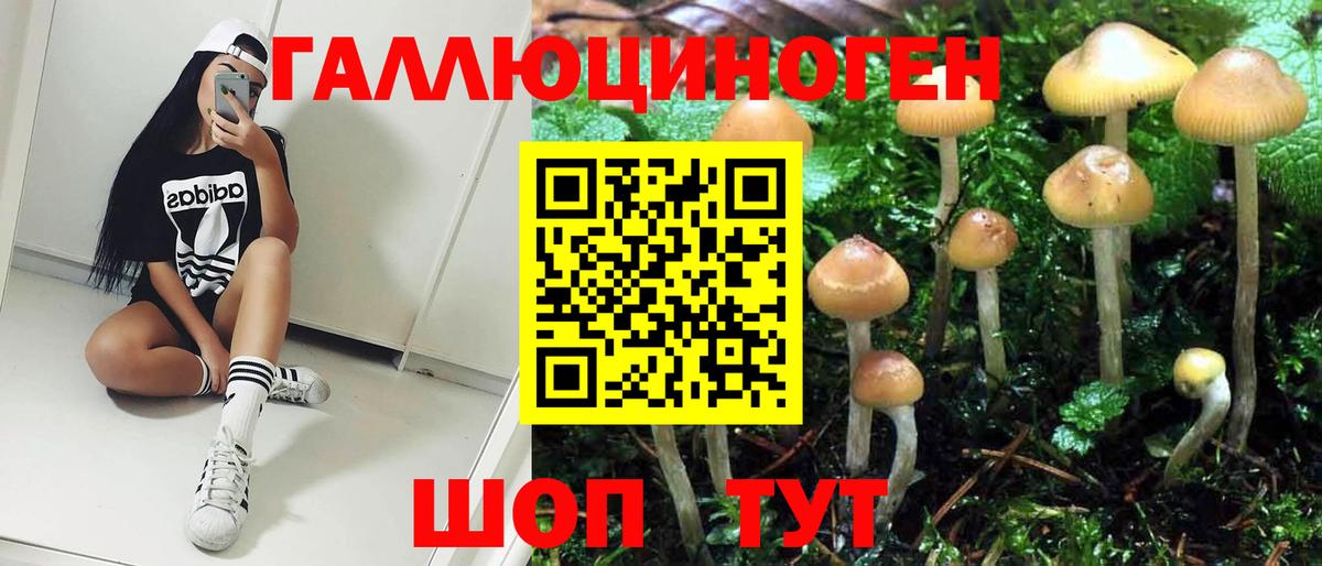 Галлюциногенные грибы ЛСД Шахты