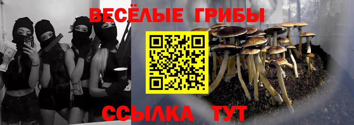 Галлюциногенные грибы мухоморы  Вход с VPN  Шахты 